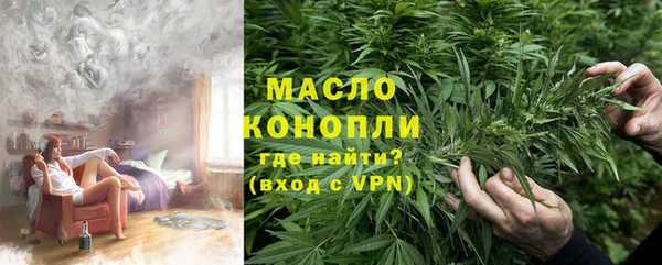 мдпв Богородск