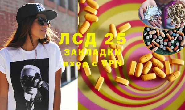 гашиш Богданович