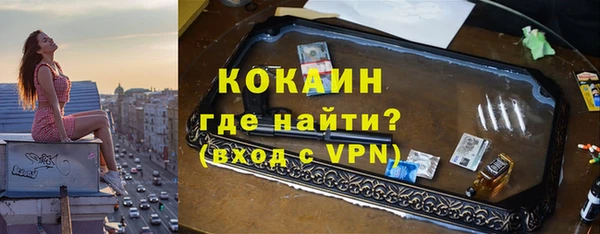 мдпв Богородск