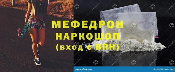 мдпв Богородск